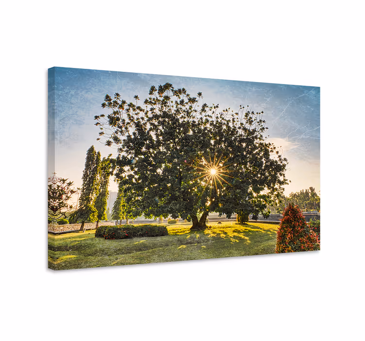 Tableau arbres silhouette d'arbre majestueux - TenStickers
