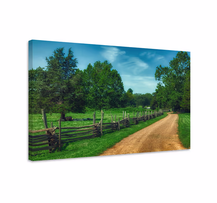 Tableau paysage Route forestière d'arbres verts d'été - TenStickers