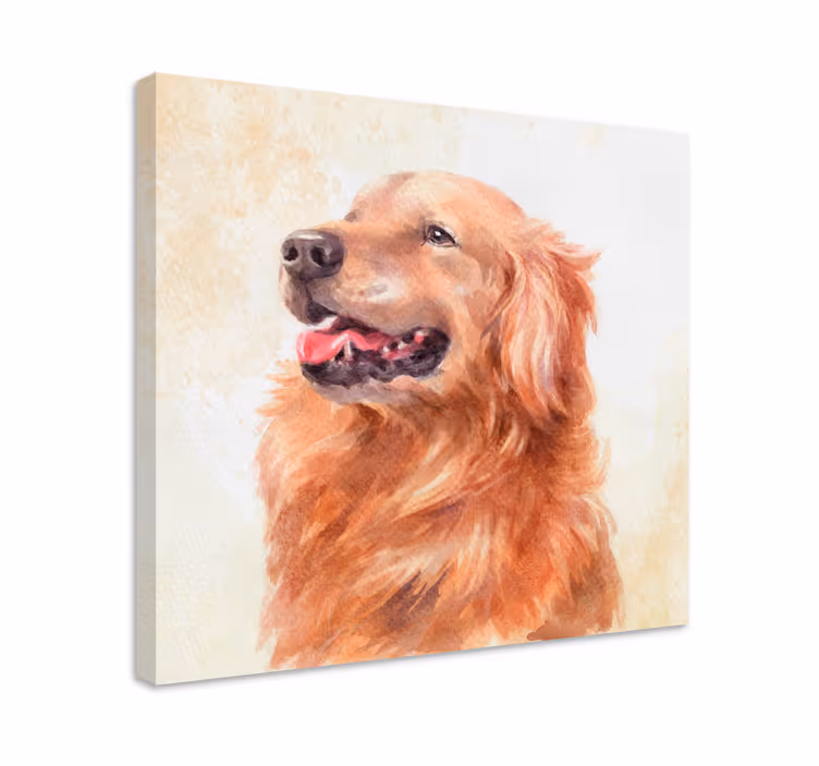 Tableau chiens illustration golden retriever - TenStickers
