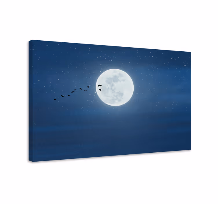 Tableau paysages vol sous la lune - TenStickers