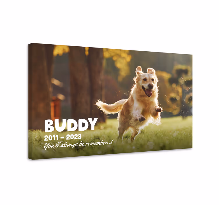 tableau déco salon voici un épitaphe pour un animal de compagnie  - TenStickers
