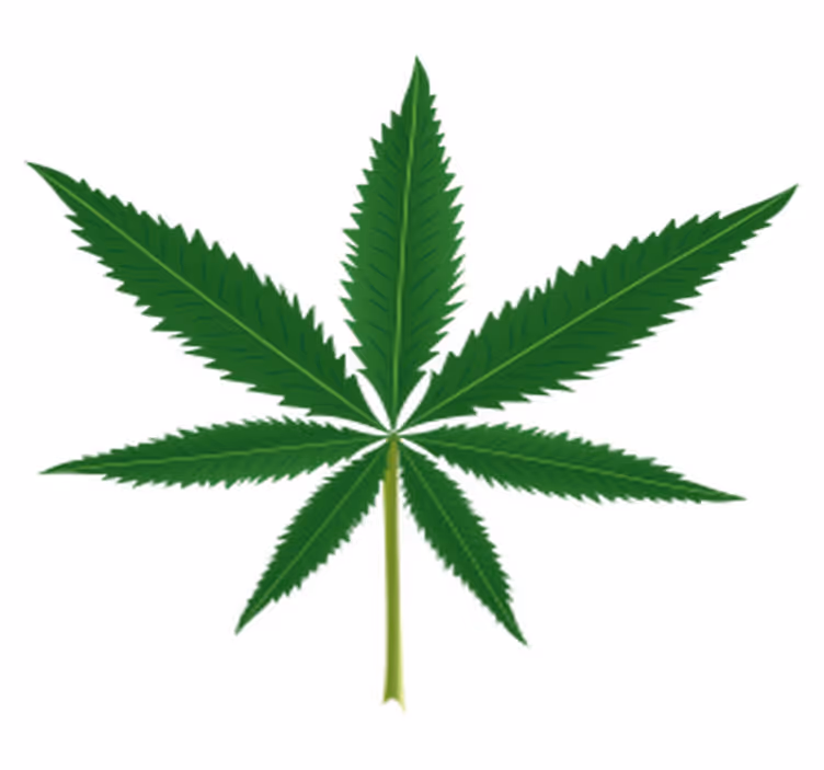 Tapis vinyle plantes feuille de marihuana - TenStickers