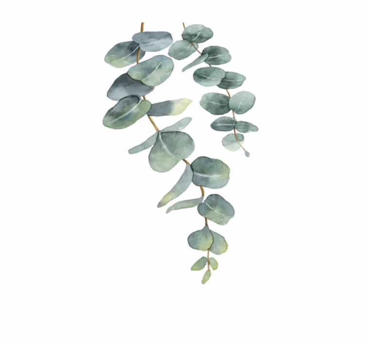 Tapis vinyle plantes branches d'eucalyptus - TenStickers