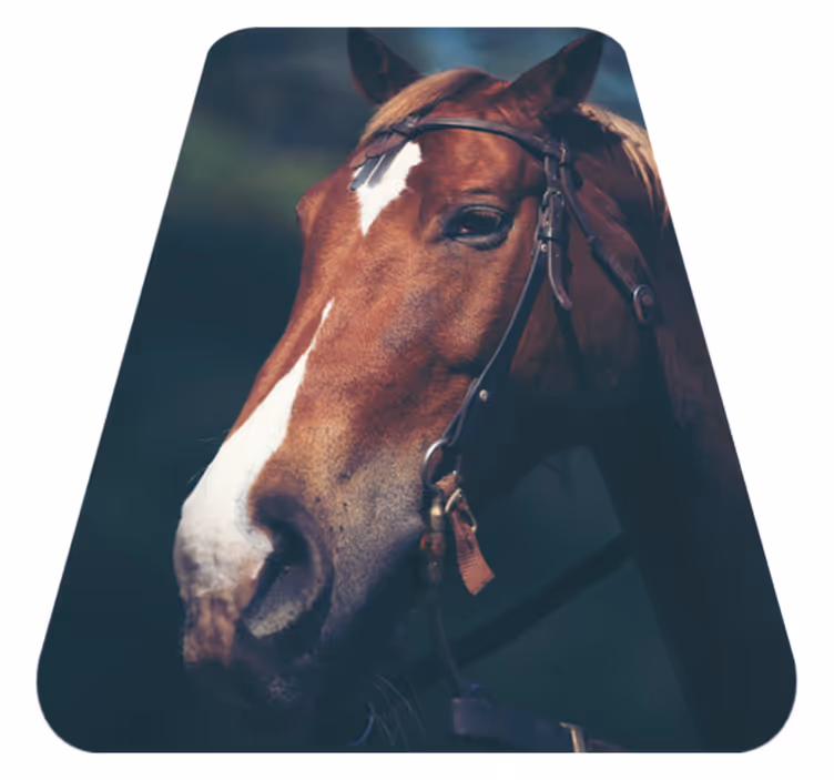 Tapis vinyle animal Tête de cheval - TenStickers