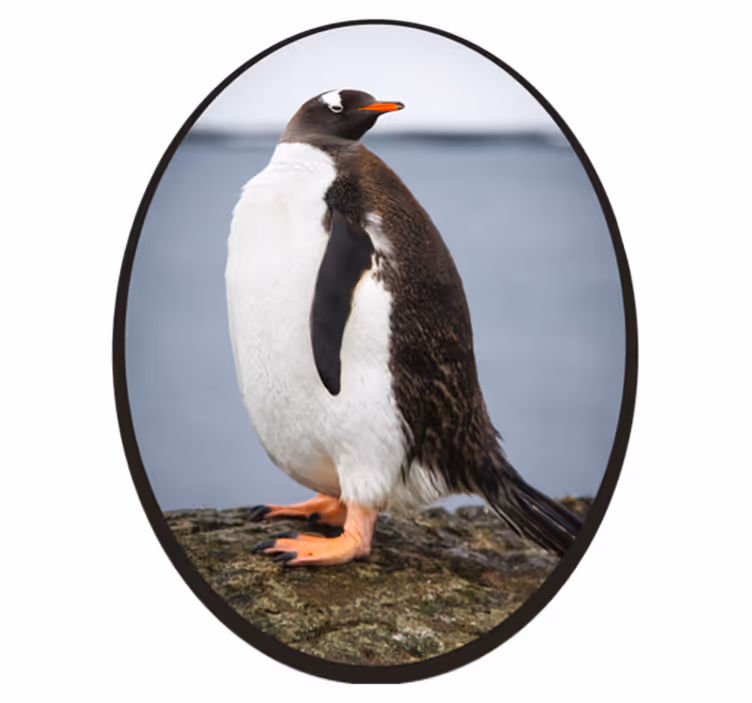 Tapis vinyle animal position du pingouin - TenStickers