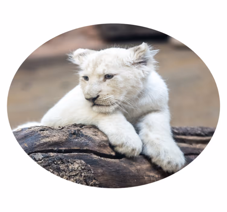 Tapis vinyle animal lionceau blanc - TenStickers