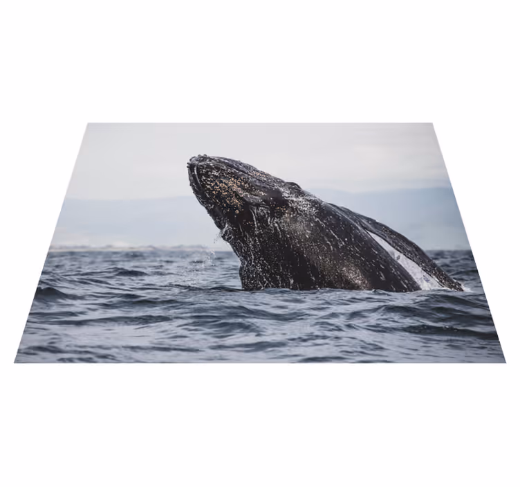 Tapis vinyle nature saut majestueux de la baleine - TenStickers