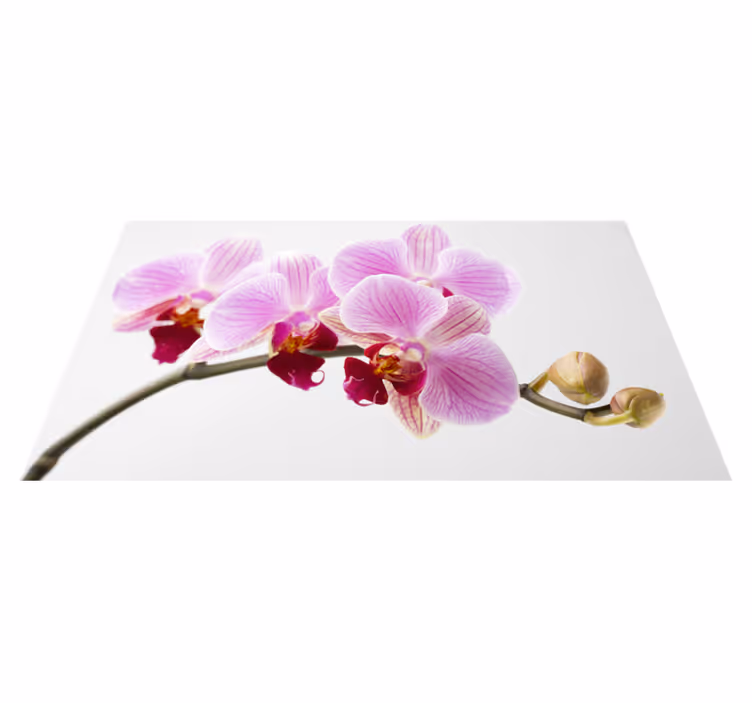 Tapis vinyle plantes conception d'orchidée rose - TenStickers
