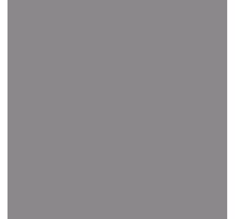 Papier peint chambre gris uni - TenStickers