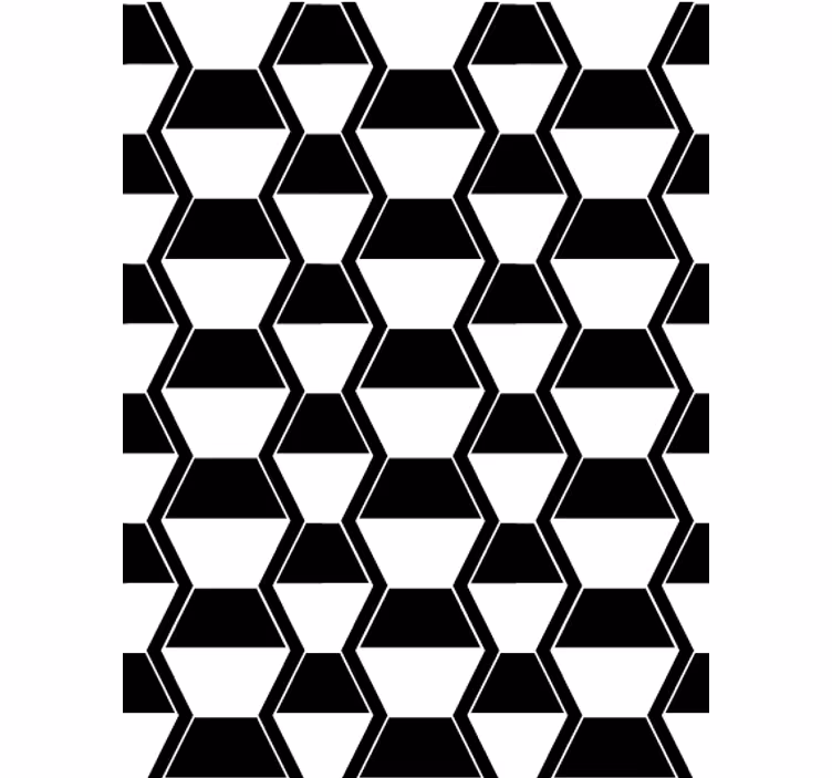 Papier peint salon hexagones noir et blanc cosmopolites - TenStickers