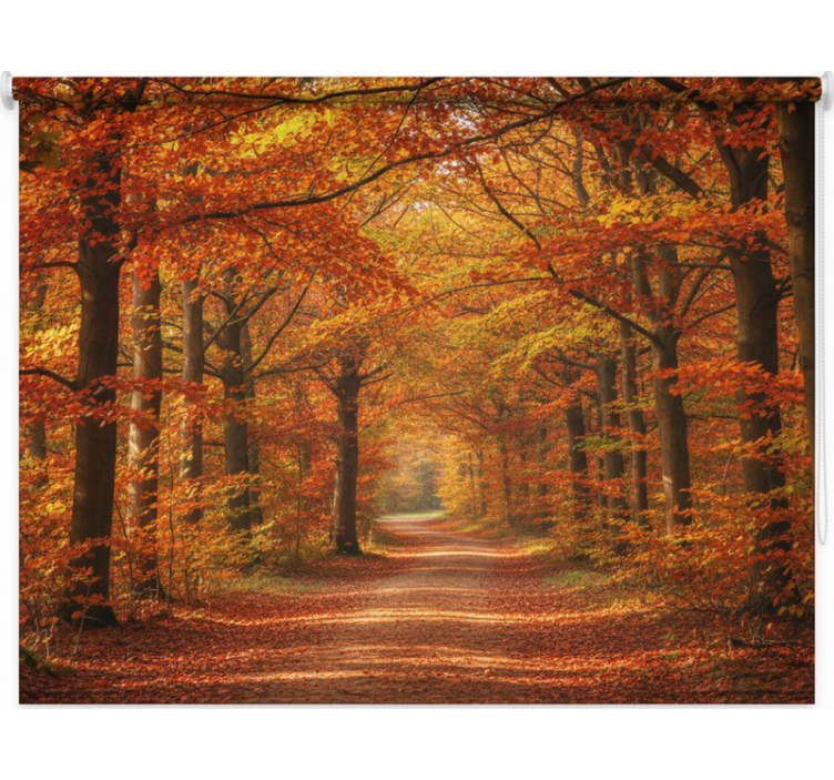 Store enrouleur arbre chemin d'arbres d'automne - TenStickers