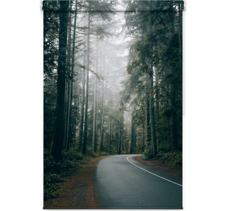 Store enrouleur arbre route des pins brumeux - TenStickers