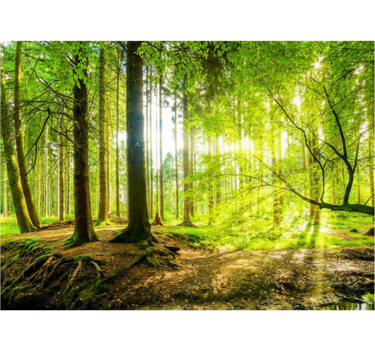 Store enrouleur arbre vallée de montagne luxuriante - TenStickers