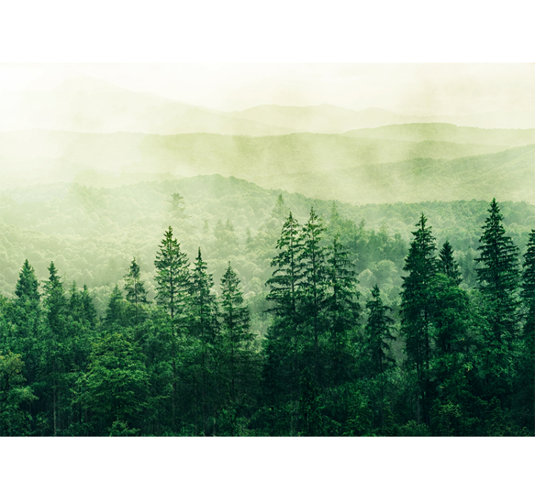 Store enrouleur cuisine cimes de forêt verte - TenStickers