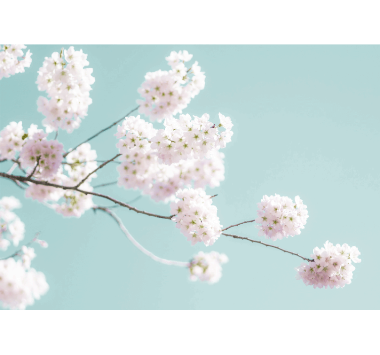 Store enrouleur cuisine design floral blanc élégant - TenStickers