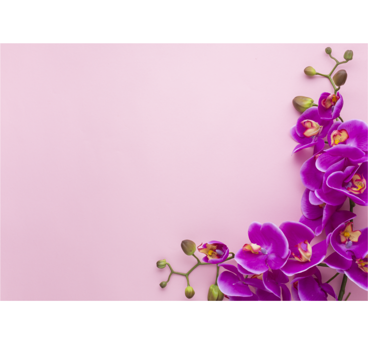 Store enrouleur cuisine fond rose avec orchidée - TenStickers