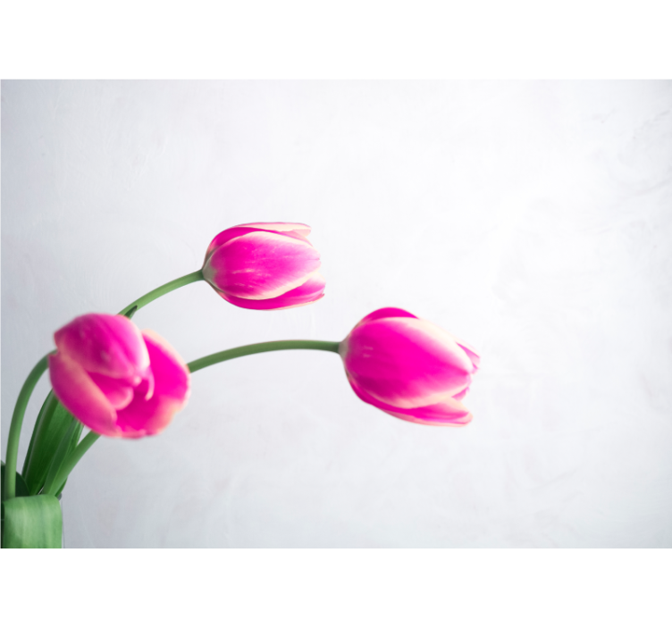 Store enrouleur cuisine trois tulipes fond blanc - TenStickers
