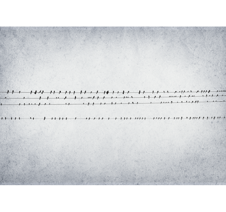 Store enrouleur blanc concert d'oiseaux sur fils - TenStickers