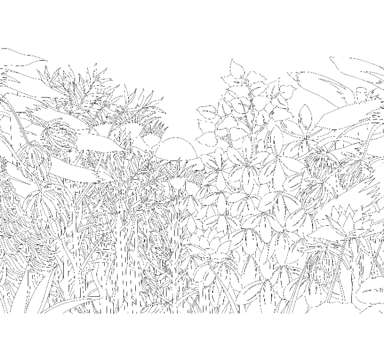 Store enrouleur blanc dessin jungle tropicale - TenStickers