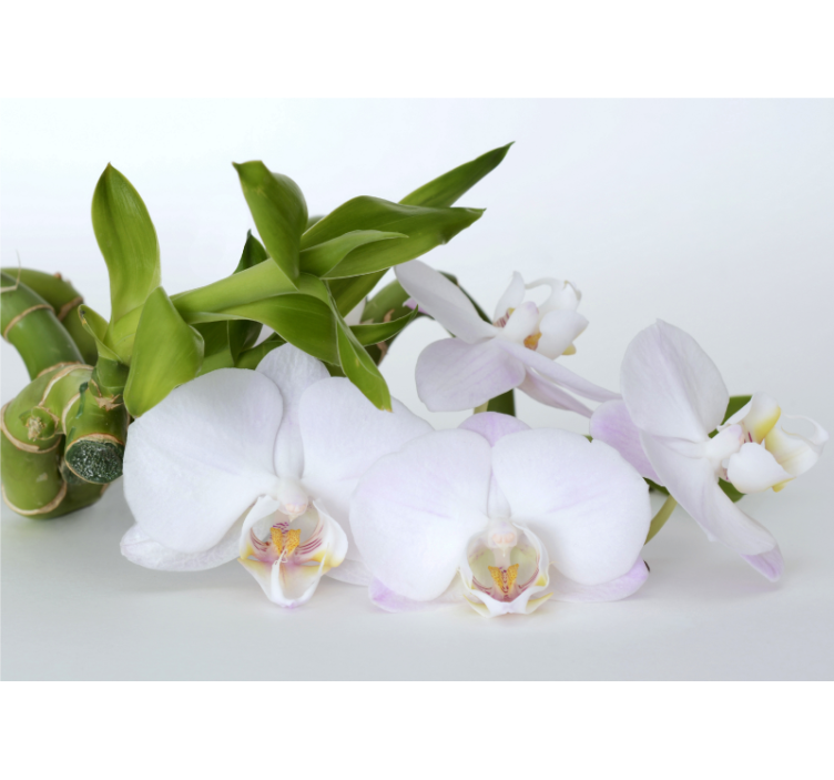 Store enrouleur blanc orchidée verte et blanche - TenStickers