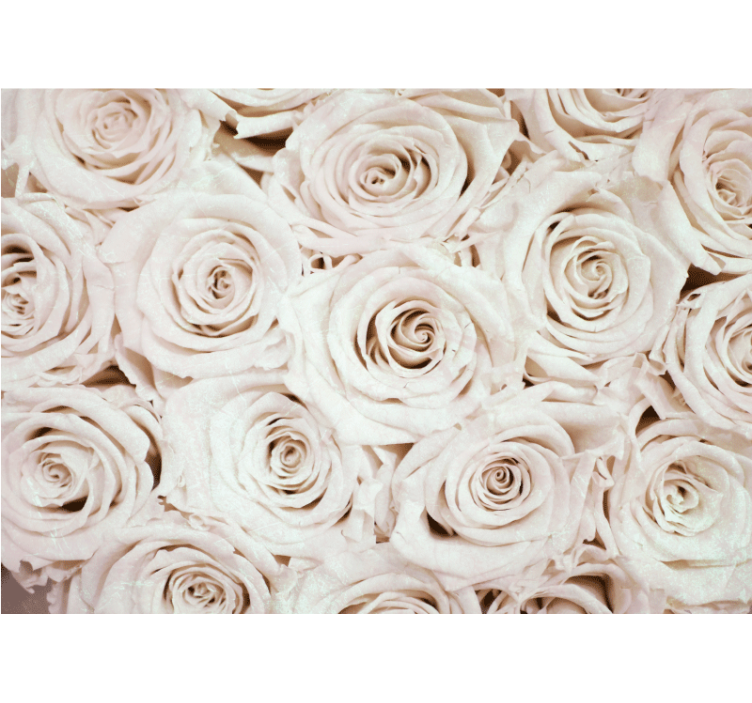 Store enrouleur blanc design floral rose élégant - TenStickers