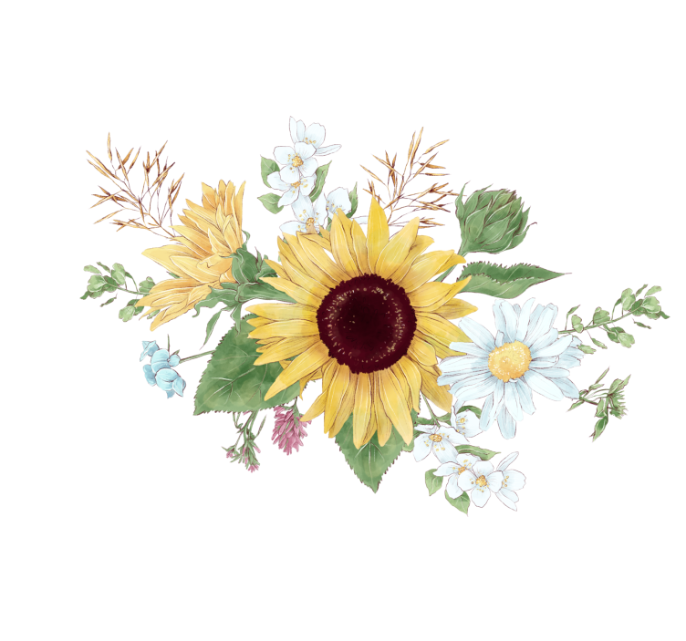 Store enrouleur blanc fleurs de tournesol et marguerites - TenStickers