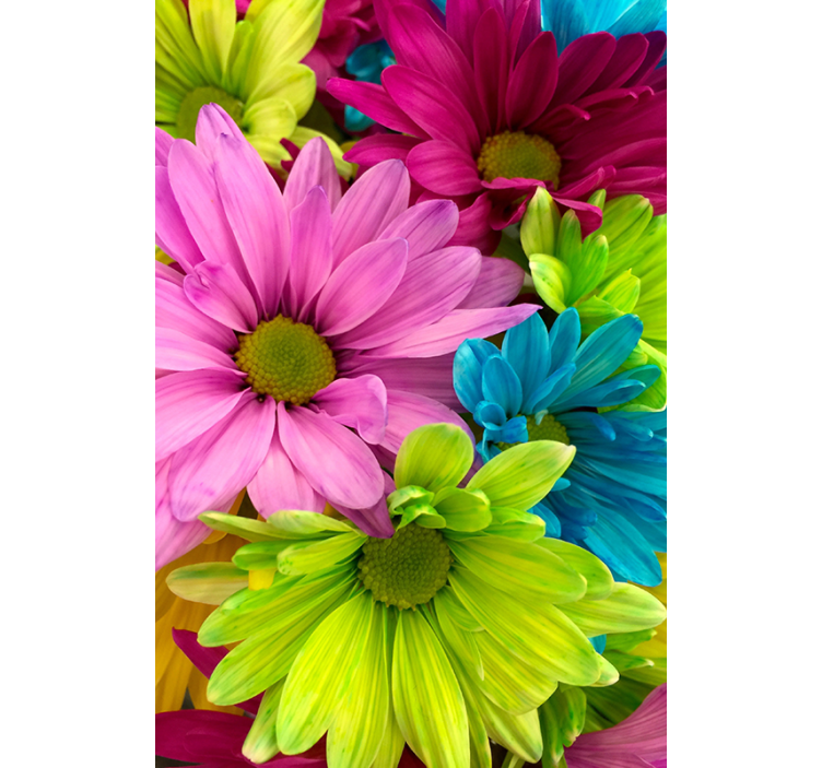 Store enrouleur salon fleurs colorées - TenStickers