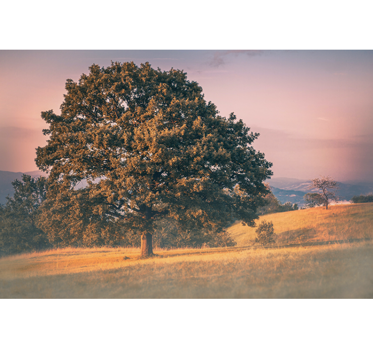 Store enrouleur salon style cottagecore arbre ancien - TenStickers