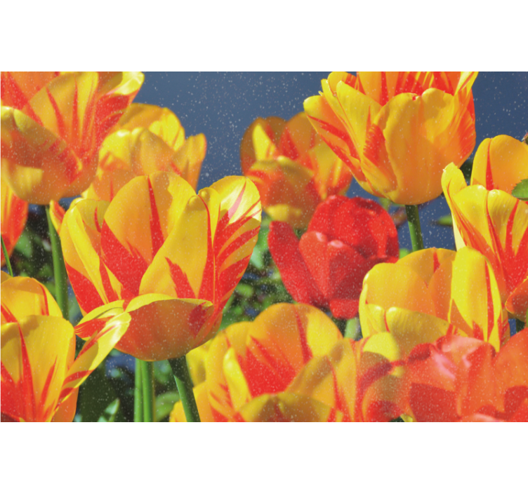 Store enrouleur salon tulipes rouges et jaunes - TenStickers
