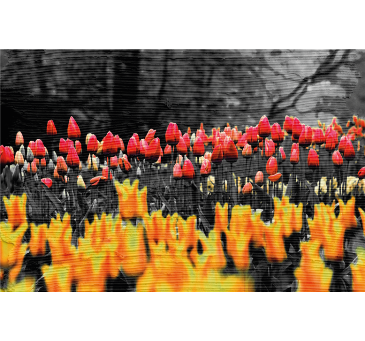 Store enrouleur salon champs de fleurs variés - TenStickers
