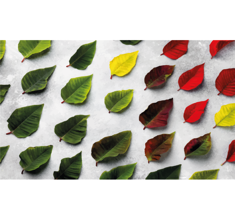 Store enrouleur salon feuilles colorées vue de dessus - TenStickers