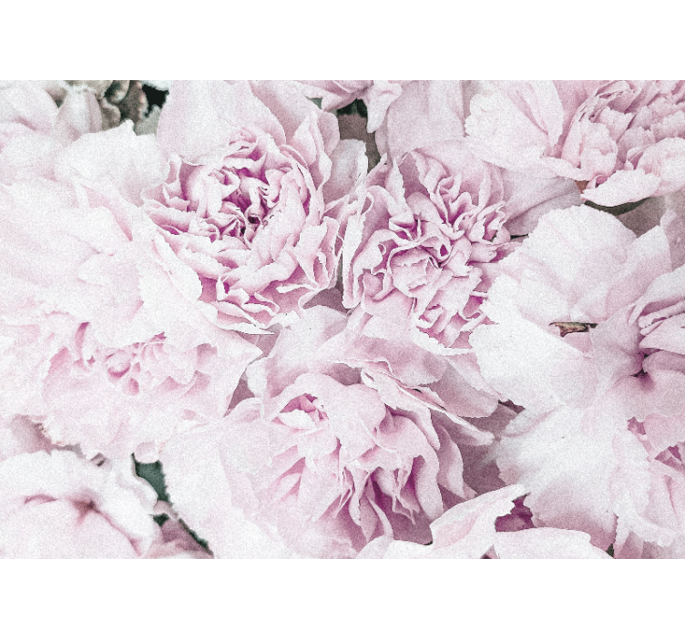 Store enrouleur salon design fleuri pivoine rose - TenStickers