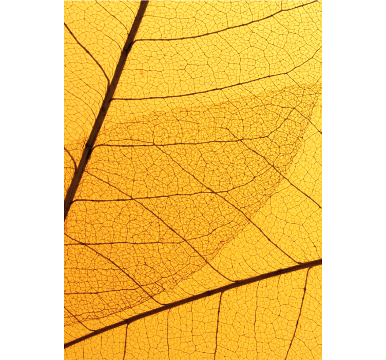 Store enrouleur jaune design feuillage botanique - TenStickers