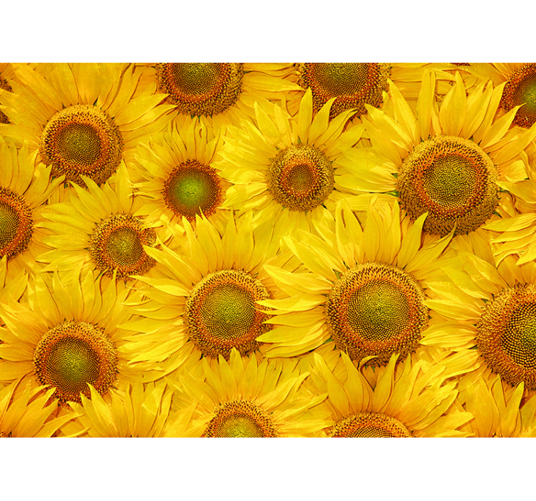 Store enrouleur jaune tournesols - TenStickers