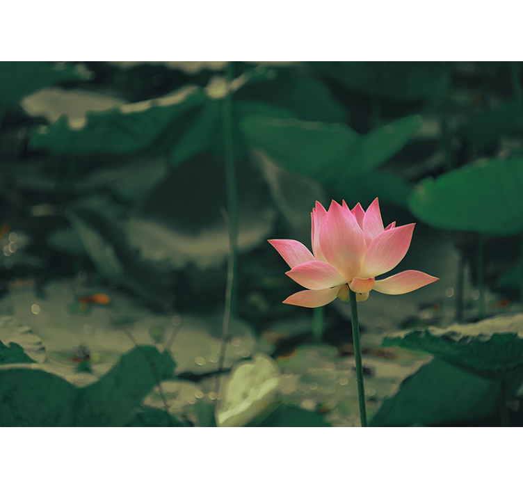 Store enrouleur vert fleurs roses - TenStickers