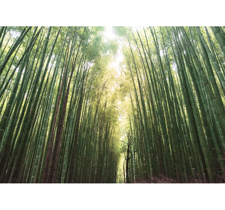 Store enrouleur salon forêt de bambou zen - TenStickers