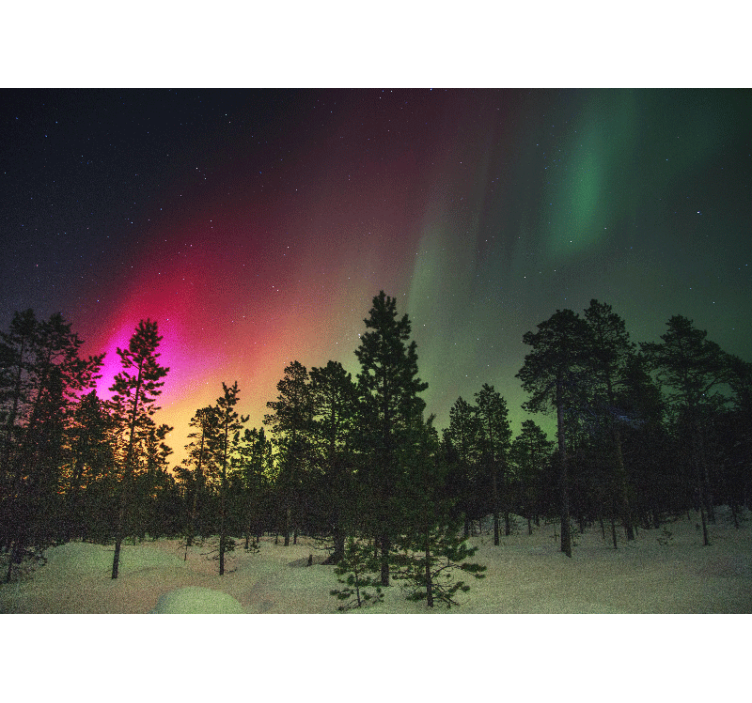 Store enrouleur salon lumières du nord sur arbres - TenStickers