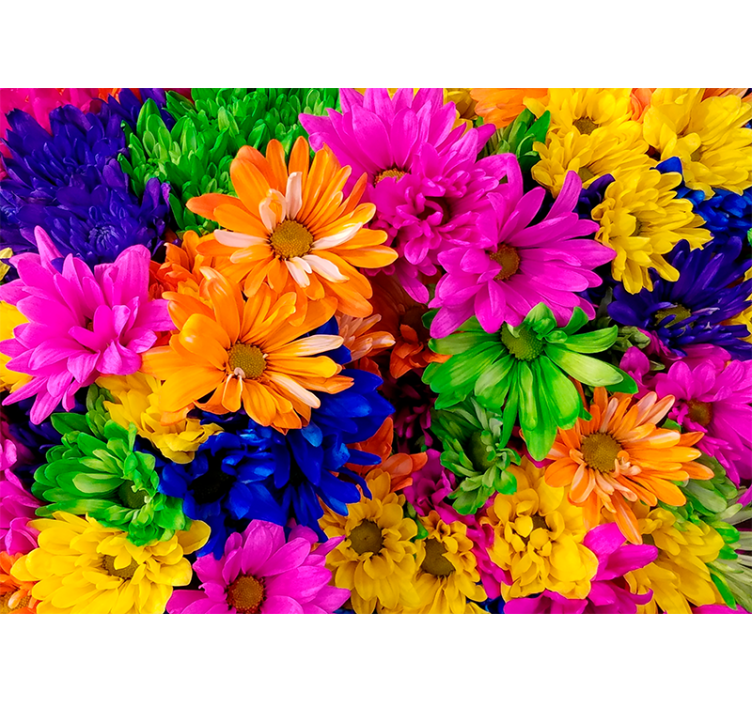 Store enrouleur salon chrysanthème coloré - TenStickers