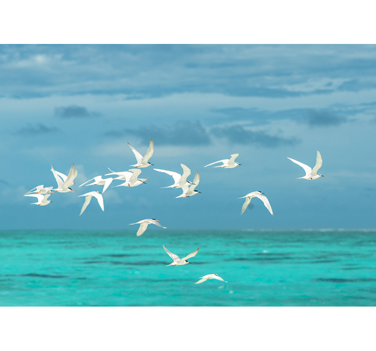 Store enrouleur salon oiseaux en vol - TenStickers