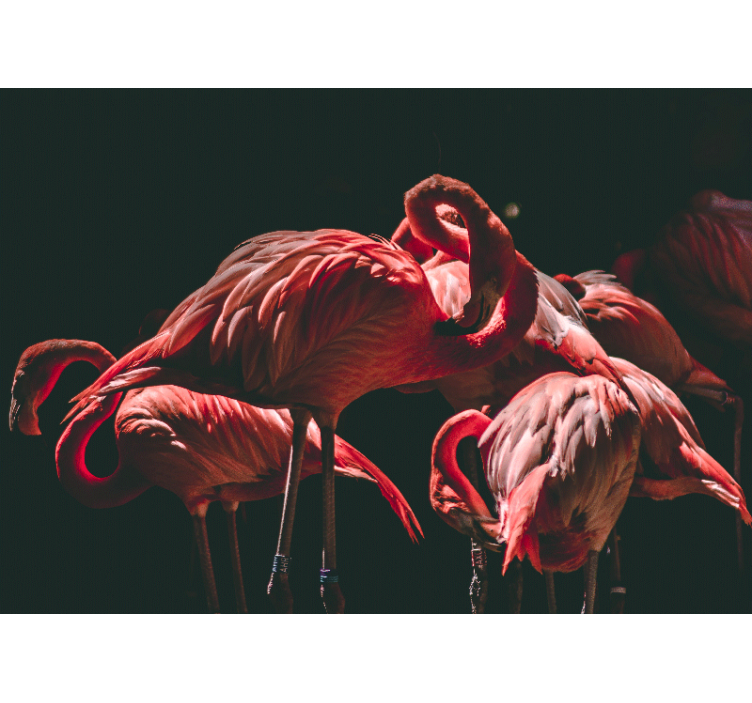 Store enrouleur salon flamants roses lumineux - TenStickers
