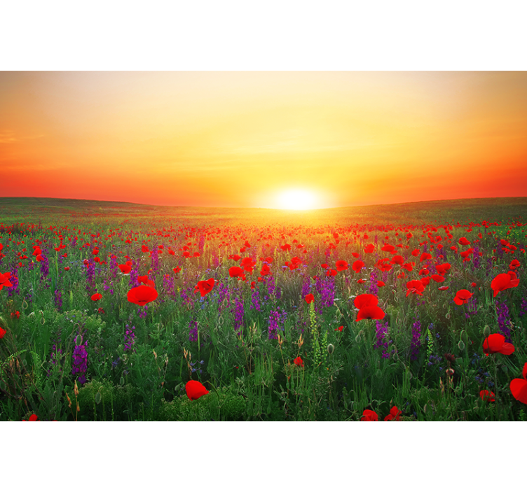 Store enrouleur salon champ de coquelicots rouges soleil - TenStickers