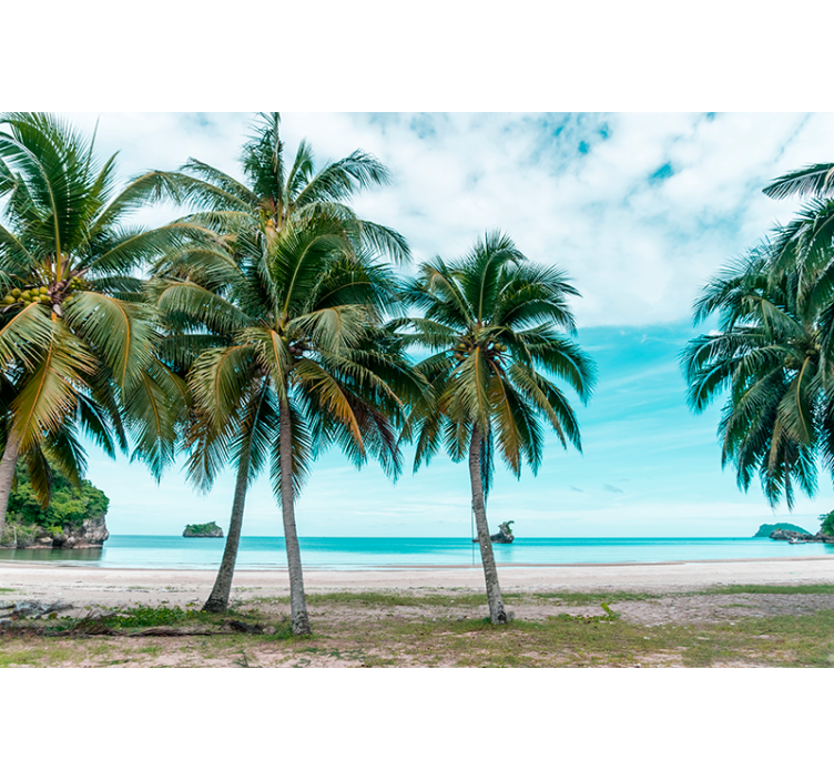 Store enrouleur salon palmiers plage sable - TenStickers