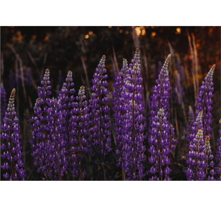 Store enrouleur salon forêt ravivée par des fleurs violettes - TenStickers