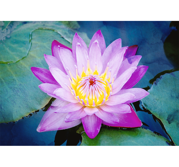 Store enrouleur salon fleur de lotus violet - TenStickers