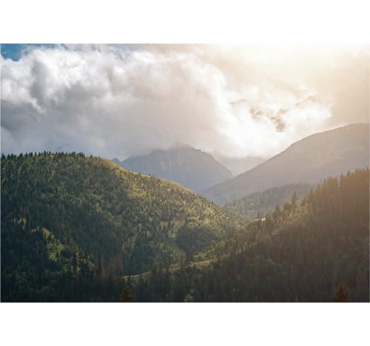 Store enrouleur salon parc national de tatra - TenStickers