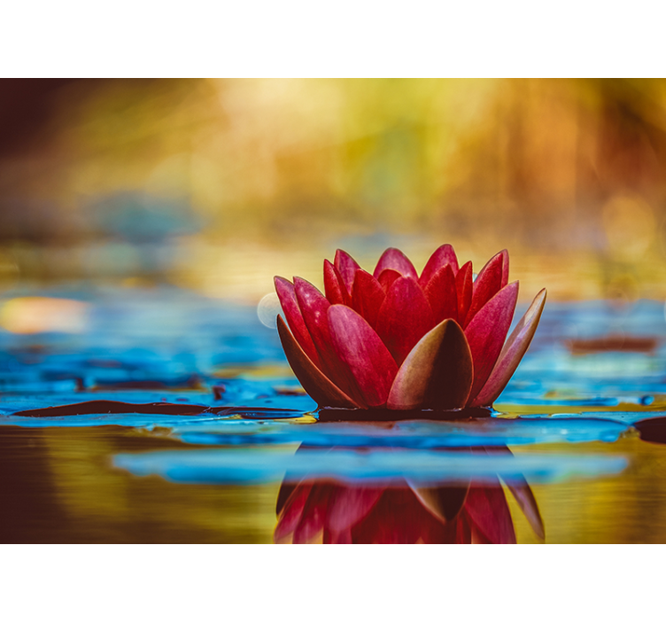 Store enrouleur salon fleur de lotus zen réfléchie - TenStickers