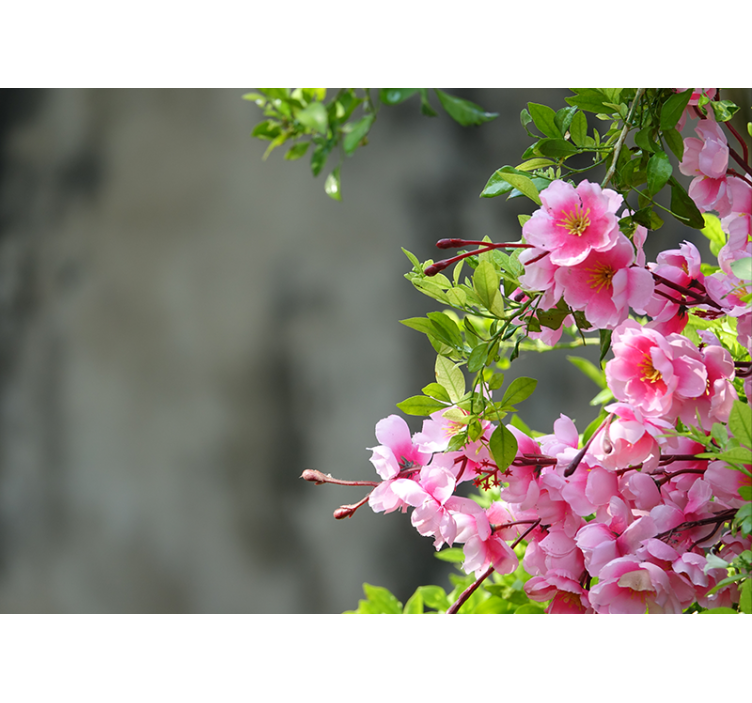 Store enrouleur salon fleurs roses 3d - TenStickers