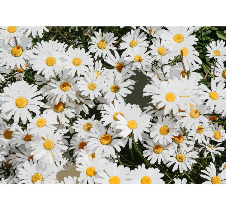 Store enrouleur salon prairie peinte avec des marguerites - TenStickers