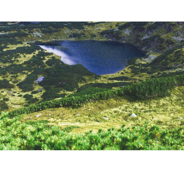 Store enrouleur salon tatras verts polonais - TenStickers