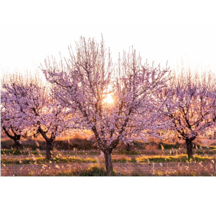 Store enrouleur salon paysage rose avec fleurs - TenStickers